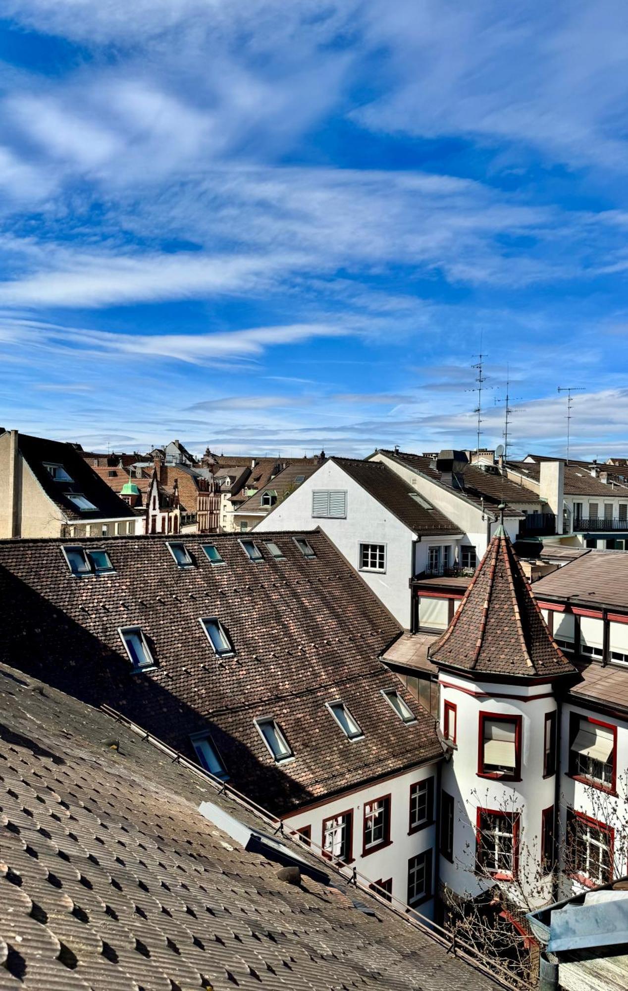 City Center Rooftop Balcony-Studio At Town Hall Базел Екстериор снимка